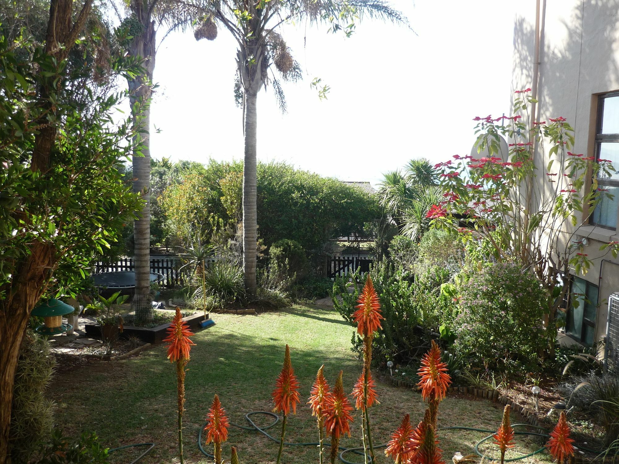 A1 Kynaston Self Catering Or Bed And Breakfast Jeffreys Bay Exterior foto